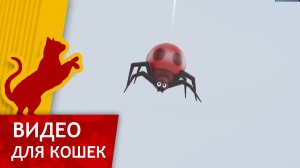 Видео для кошек - Поймай красного паучка (Развлеки кота)