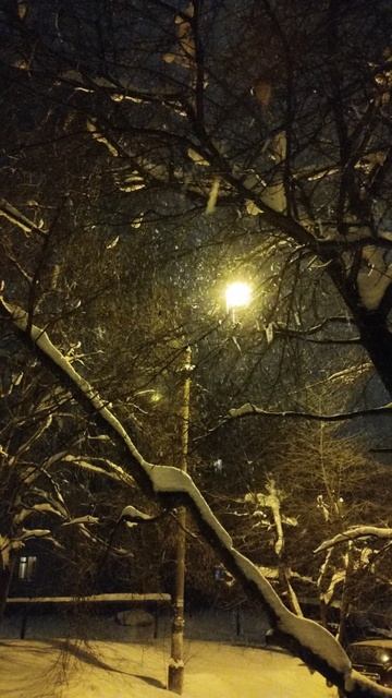 PXL_20260110_073129884