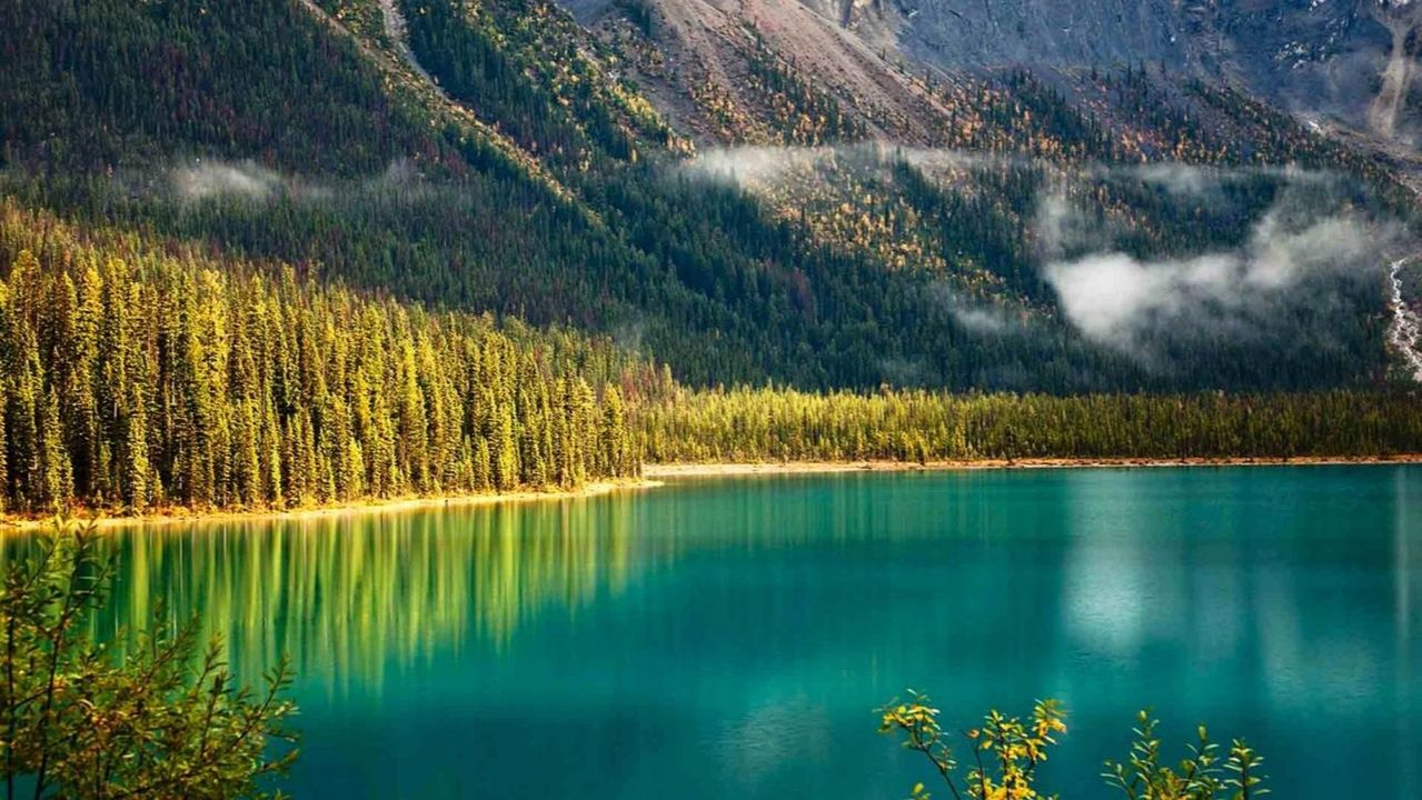 Когда природа говорит тихо  4K релакс видео