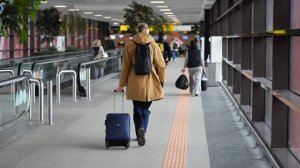 План «Ковер» ввели в аэропорту Владикавказа и Моздоке