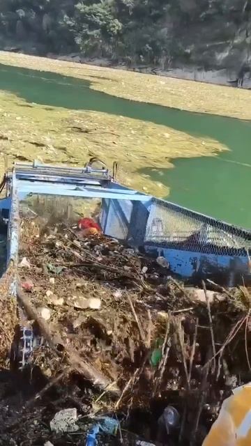 Необычный метод очистки водоемов в городе.