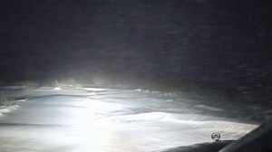 great wall Ряпловский пруд 3