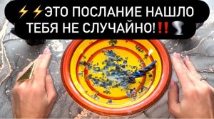 ⚡️⚡️ЭТО ПОСЛАНИЕ НАШЛО ТЕБЯ НЕ СЛУЧАЙНО!‼️🌪️