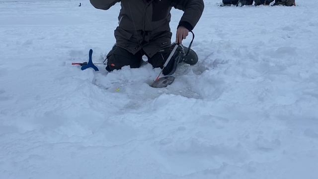 Основной водоём. смотреть онлайн