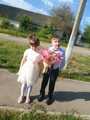 учим кота играть в s 2