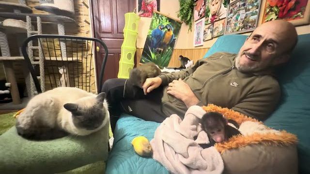 Странные есть люди, они умудряются критиковать даже милые видео детских утренников и подарков😘 смотреть онлайн