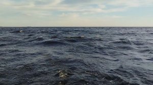 ВЫХОД В ЛАДОГУ  ЗА ЩУКОЙ