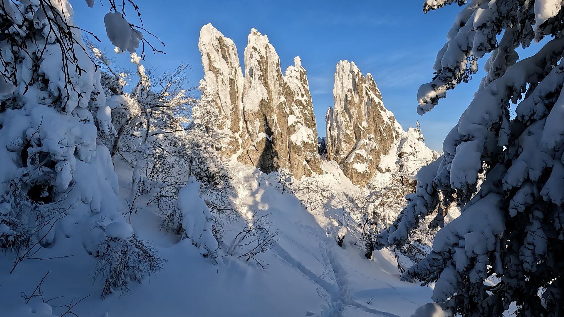 Двуглавая сопка