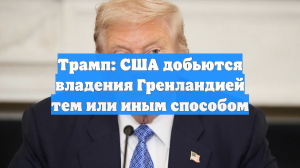 Трамп: США добьются владения Гренландией тем или иным способом