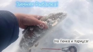 Клëвая Зимняя Рыбалка на Ленка и Хариуса в Декабре 25/26!!!