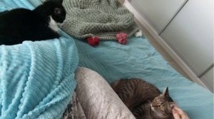 "..а дедушка спит на коврике" :)