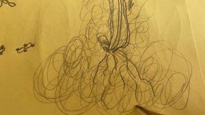 Симбионты жизни. Часть первая.