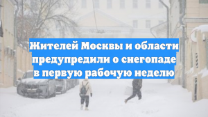 Жителей Москвы и области предупредили о снегопаде в первую рабочую неделю