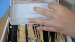 Распаковка посылки с муравьями. Unpacking parcels with ants