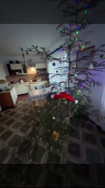 Рубрика «Комментаторы» 😂😁😁