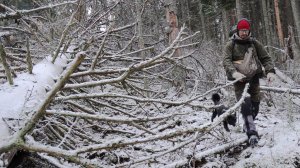 Почти заблудился в Мёртвом Лесу  Вьюга, костёр и ночёвка с собакой (без слов)