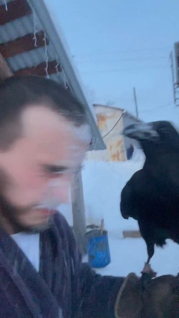 Банька - парилка 😅 смотреть онлайн