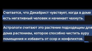 МАГИЧЕСКИЕ СВОЙСТВА КОМНАТНЫХ РАСТЕНИЙ