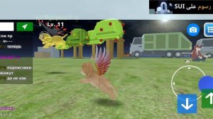 рассказываем о багах и пасхалках