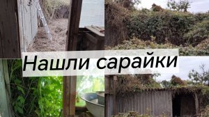 #16/ Нашли сарайчики в зарослях/Купили цветы на участок