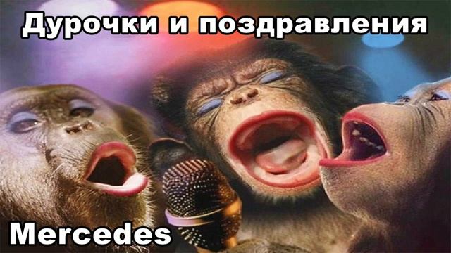Mercedes  ДУРОЧКИ И ПОЗДРАВЛЕНИЯ смотреть онлайн