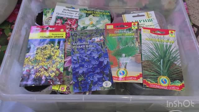 Сею многолетние цветы, январь. смотреть онлайн