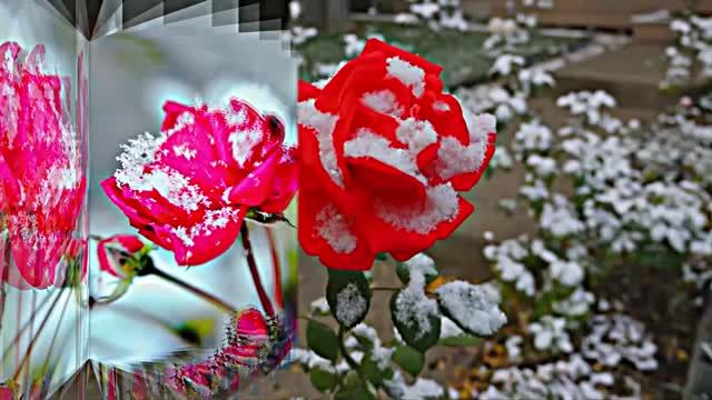 С Днём Рождения!!! Зимняя сказка для Единственной 1 от Киностудии Мудрого Кота Тимофея!