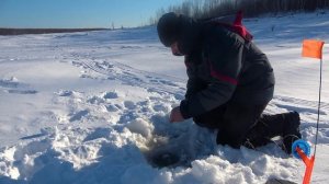 Поймали трофея🎣. Встречаем новый год в палатке на льду Бурейского водохранилища🎣