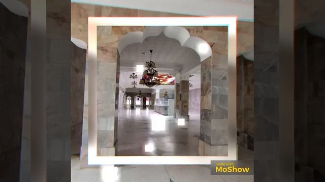 video_11687696471410.mp4