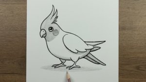 Как легко нарисовать попугая птицу карандашом - пошаговое руководство по рисованию