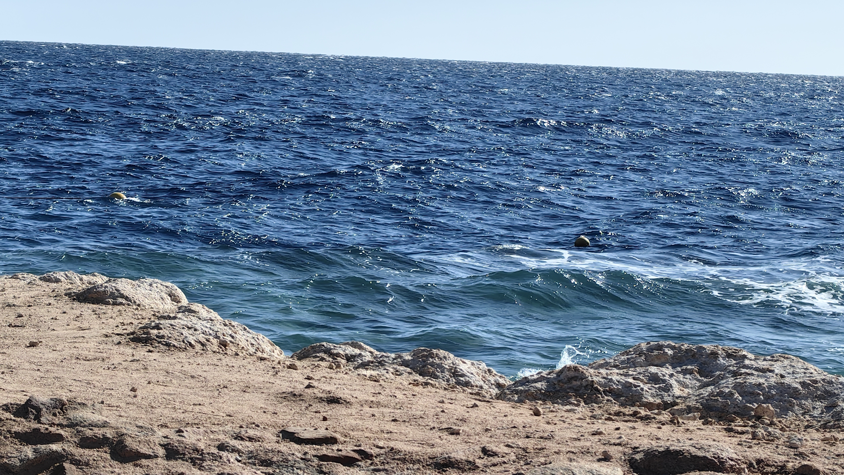 Renaissance Sharm El Sheikh Golden View Beach Resort январь 2026