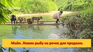 Muôn и друзья из Вьетнама. Ловим рыбу на речке для продажи.