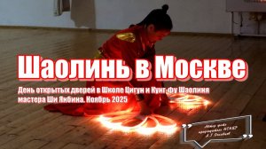 Александр Огнивцев 2026: Мастер Ши Янбин 16.11.25. в Школе Цигун и Кунг-фу Шаолиня.