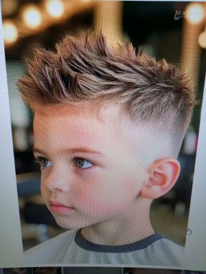 Дом в маине