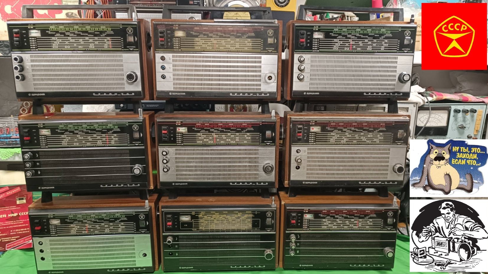 🔥Океан 209 ! Девять штук на одного ! Все модели Океанов 209 из СССР!Реальные Радиопосиделки с Жорой смотреть онлайн