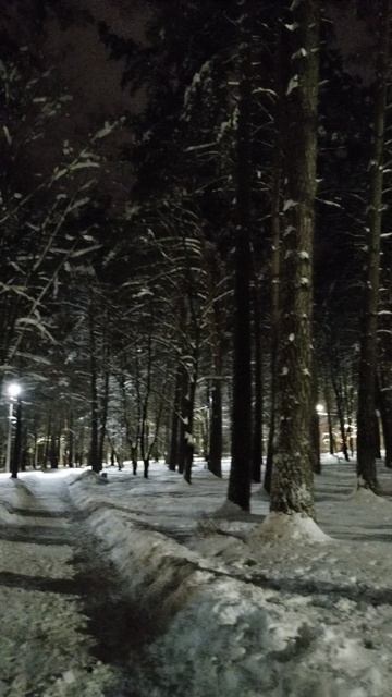 PXL_20260110_071831581