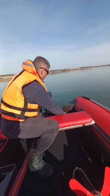 Получили тёплый отзыв от китовода 🔥 смотреть онлайн