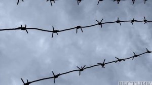 Mehr: в Иране ликвидировали связанную с ПСЖК группировку