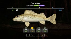 «НОВИЧОК в Русская рыбалка 4! Учусь ловить первую рыбу с вами 🎣 | День 11» Уже  чему то научился !