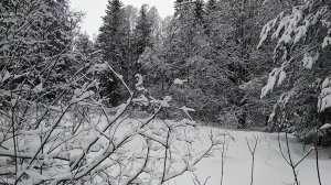 И СНОВА ЗА ОКНОМ ЗИМА