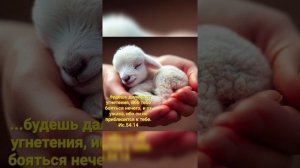 10.01.26.Молитва благословения 🙌🏻🙏🛐👑📯🌈💦⛵🌾🍇💖👑❤️🔥🔥🪔🤗💌🕊🌬✝️🩸🛡🦅🌠✨️🌍🩸