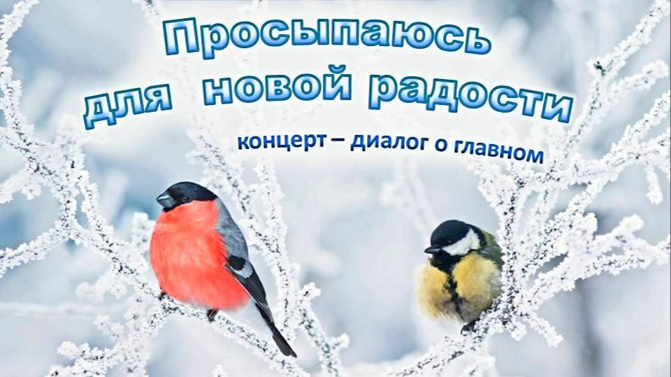 Начало рождественского концерта смотреть онлайн