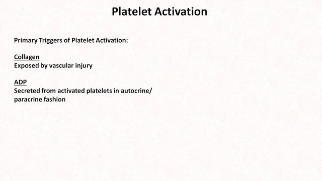 2_Hemostasis — Platelet Activation and Aggregation Eric Strong