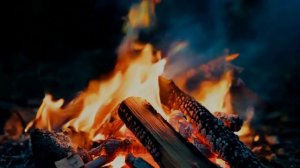 video_240 ПроРок