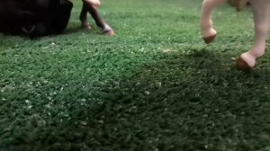 Шляйх сериал "камень зла" 5 серия финал! Кстати скоро я буду снимать шляйх сериал " пойманная"❤️