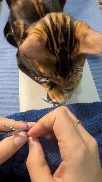 Вяжем пуловера , совместник смотреть онлайн