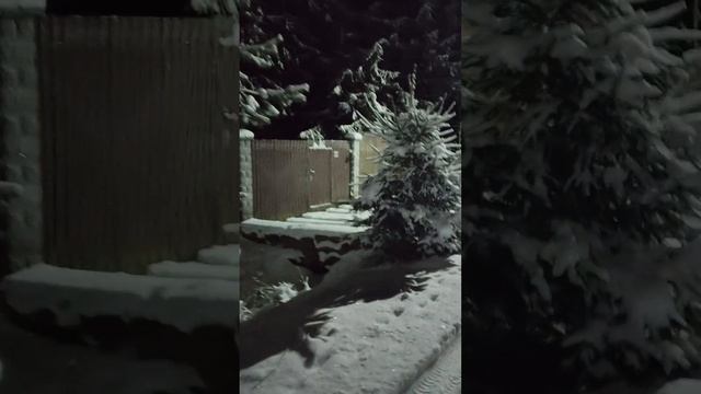 ЧТО СКРЫВАЕТ КАРЕЛЬСКАЯ НОЧЬ? Мы шли на станцию и обомлели... смотреть онлайн