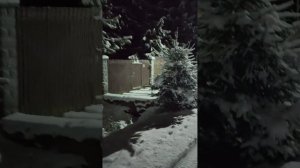 ЧТО СКРЫВАЕТ КАРЕЛЬСКАЯ НОЧЬ? Мы шли на станцию и обомлели...