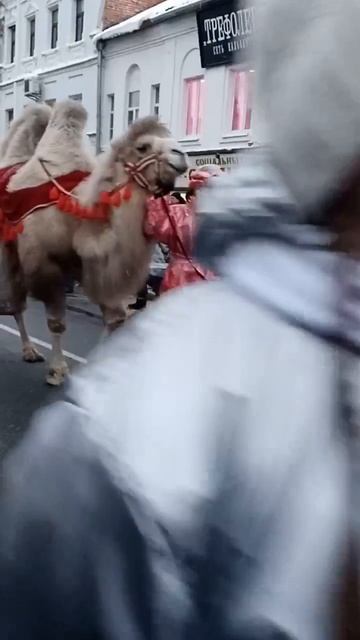 За Рождественской Звездой Праздничное шествие Рыбинск (8 01 26).Было классно. смотреть онлайн