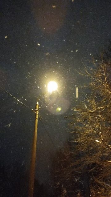 PXL_20260110_073342757